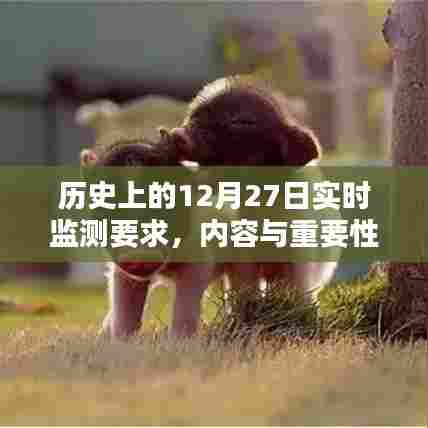 历史上的重要时刻,实时监测要求与重要性解析