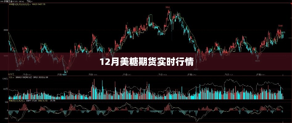 美糖期货行情实时更新