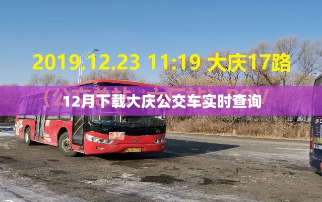 大庆公交车实时查询APP下载(12月版)