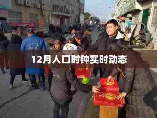 实时更新,12月人口时钟动态数据
