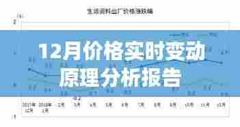 12月价格实时变动原理深度解析报告