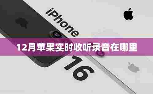 苹果实时收听录音功能位置指南