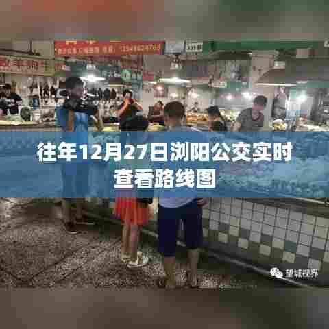 浏阳公交实时路线图查询（往年12月27日）