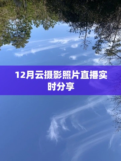 云摄影照片直播分享，实时捕捉美好瞬间
