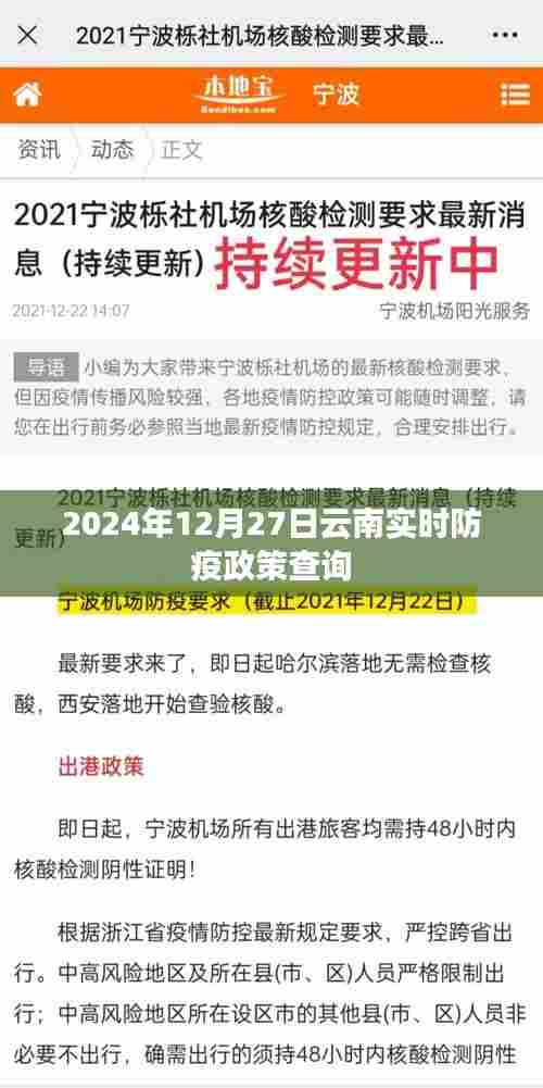 云南实时防疫政策查询(最新更新至2024年12月)