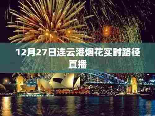 连云港烟花绽放轨迹，实时直播精彩瞬间