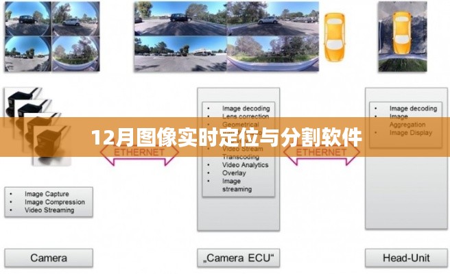 实时定位与分割软件助力图像精准识别