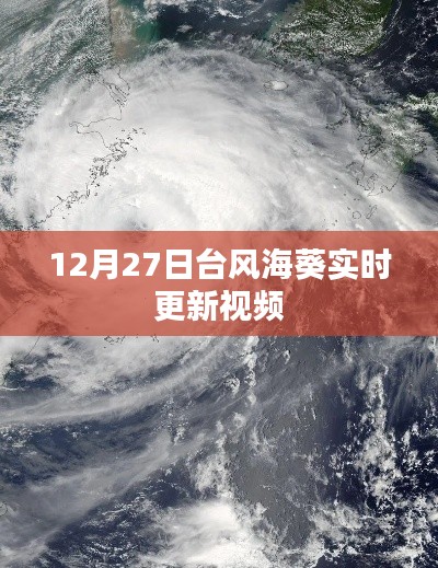 台风海葵最新动态,实时更新视频(附时间戳)