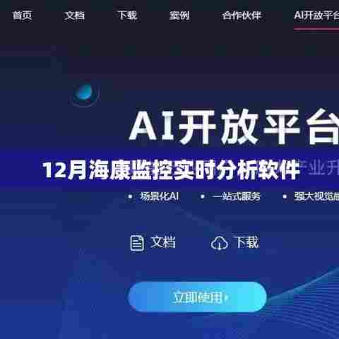 海康监控实时分析软件功能详解