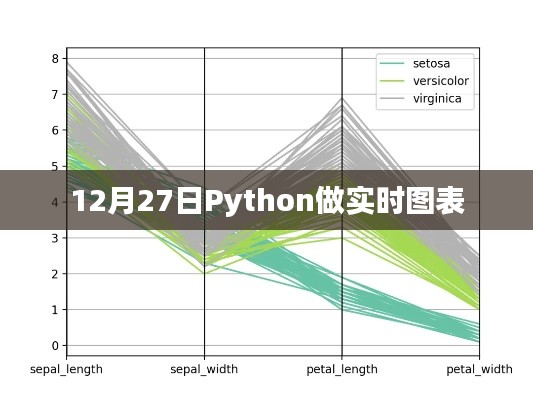Python实时图表制作指南,12月27日教程