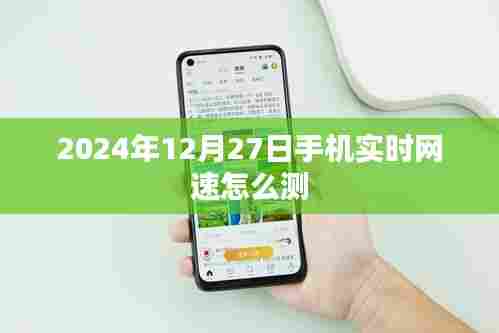 2024年12月27日手机网速测试方法与技巧