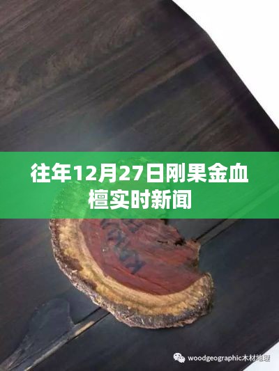 刚果金血檀最新实时新闻,12月27日动态更新