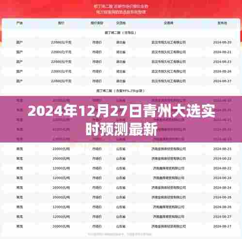 青州大选最新实时预测(2024年12月27日)