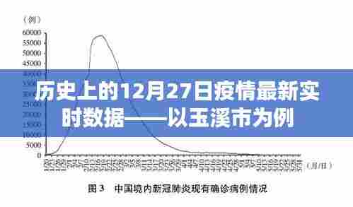 玉溪市疫情实时数据报告,历史上的12月27日最新情况分析