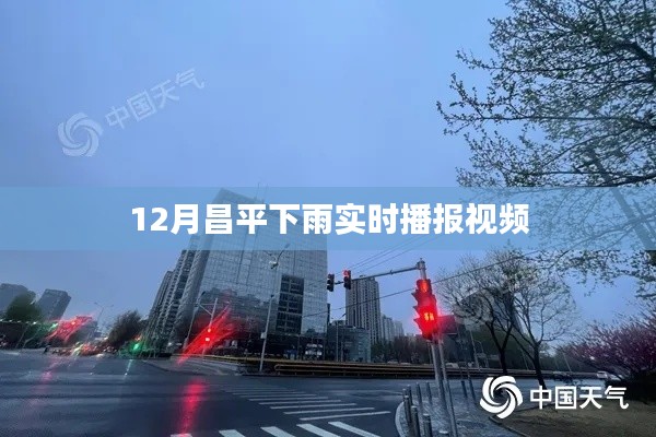 昌平十二月雨情实时播报视频