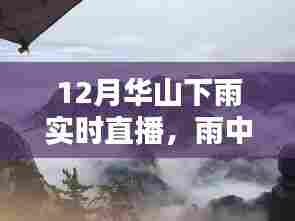 雨幕下的华山壮丽与坚韧，实时直播赏析