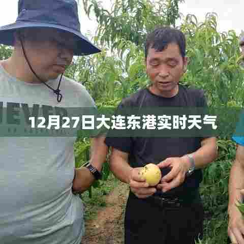大连东港实时天气更新,12月27日天气信息