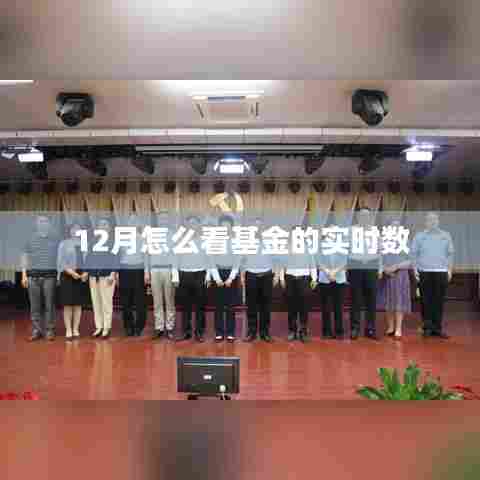 12月基金实时数据解析与观察