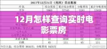 12月实时电影票房查询攻略