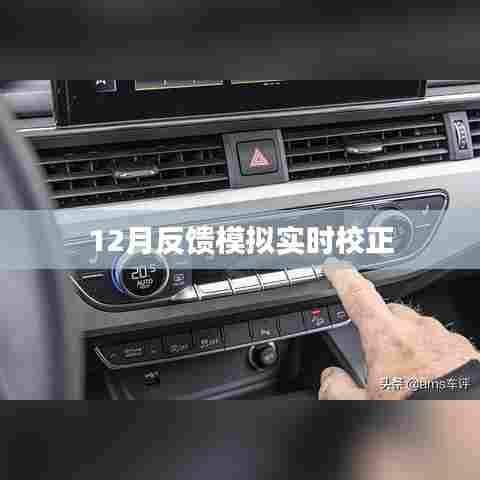 实时校正模拟反馈系统（12月版）