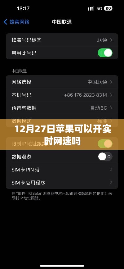 苹果实时网速监测功能开启时间揭秘
