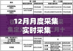 实时采集数据,掌握最新动态——月度数据监控报告