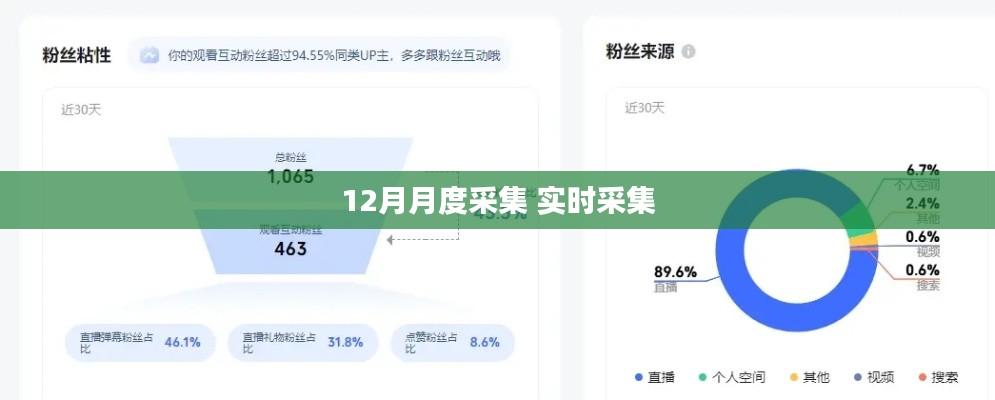 实时采集数据,掌握最新动态——月度数据监控报告