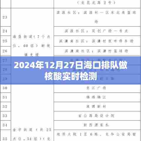 海口核酸检测实时检测现场纪实,排队进行时,2024年12月27日