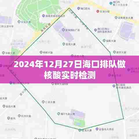 海口核酸检测实时检测现场纪实,排队进行时,2024年12月27日