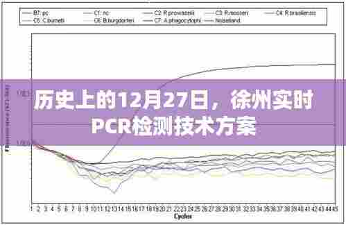 徐州实时PCR检测技术方案揭秘，历史时间线回顾