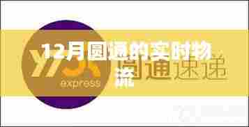 实时物流追踪,月圆通的物流动态