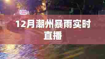 潮州暴雨直播报道，最新实时雨情分析