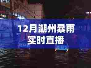 潮州暴雨直播报道,最新实时雨情分析