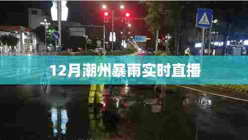 潮州暴雨直播报道,最新实时雨情分析