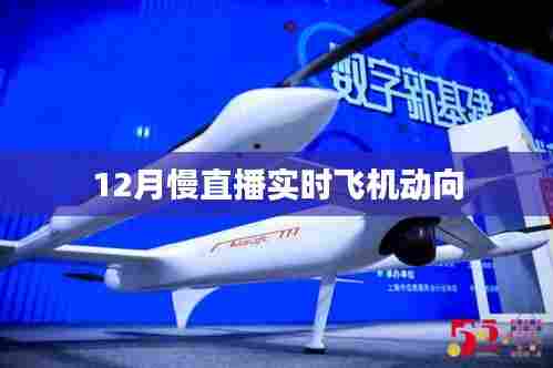 实时慢直播,揭秘飞机动态