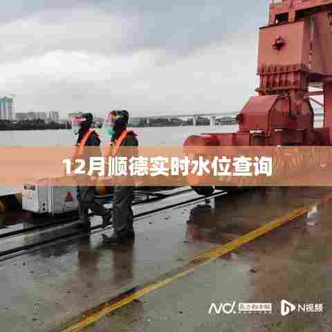 顺德最新实时水位查询数据(附查询指南)