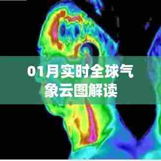 池鱼笼鸟 第5页