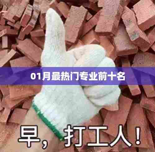 01月热门专业榜单TOP10揭晓