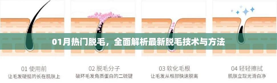热门脱毛技术解析,最新方法与趋势