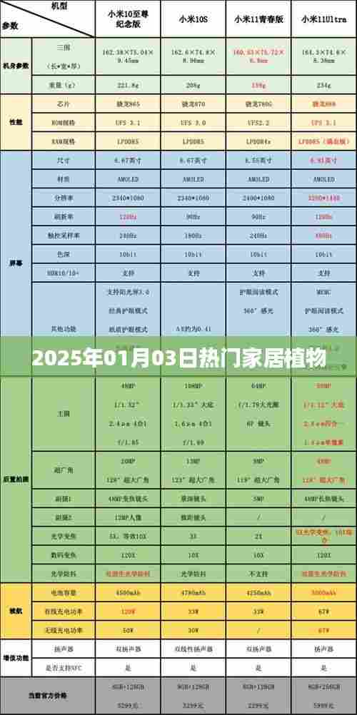 2025年家居热门植物榜单揭晓