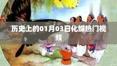 1月3日化蝶热门视频回顾