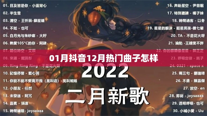 抖音热门曲汇，揭秘十二月流行旋律