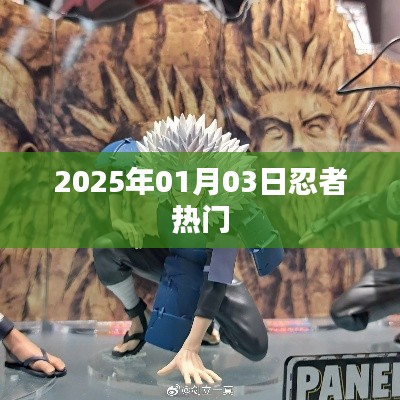 忍者热潮，2025年1月3日的瞩目焦点