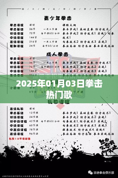 『2025年拳击热门歌曲揭晓』