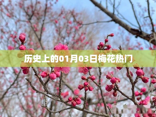 鸟面鹄形 第4页