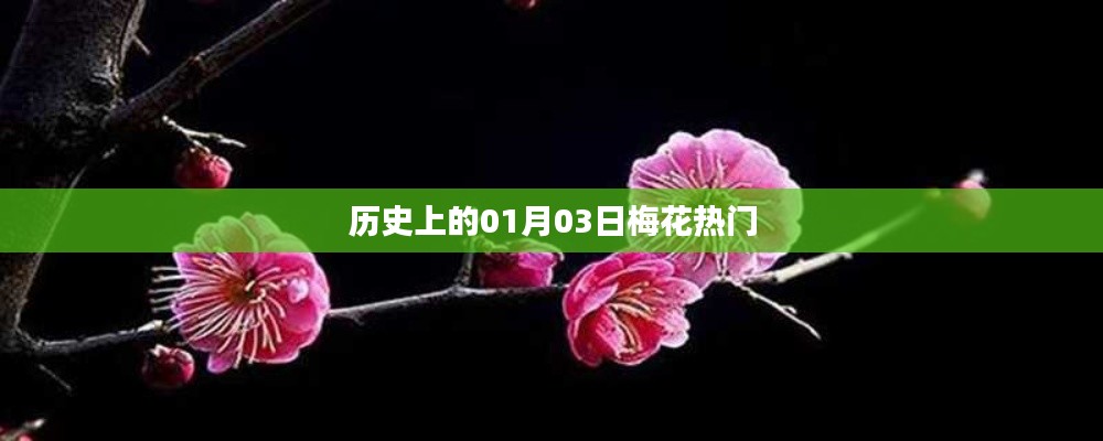 梅花盛开日,历史上的那些精彩瞬间