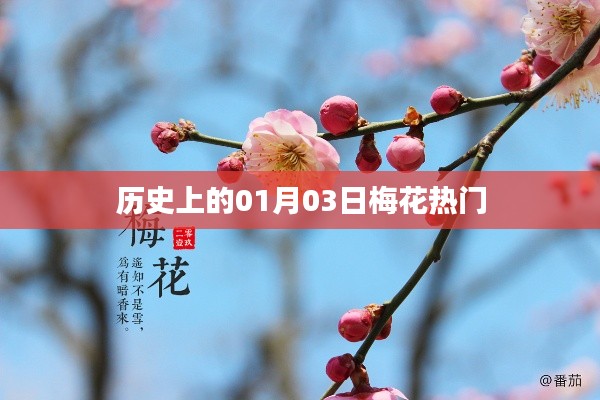 梅花盛开日,历史上的那些精彩瞬间