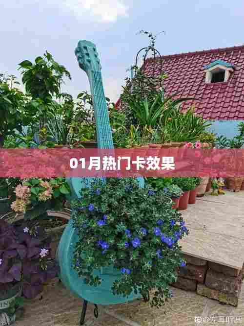 热门卡效果揭秘,一月份精选盘点