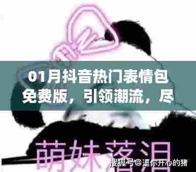 象耕鸟耘 第4页