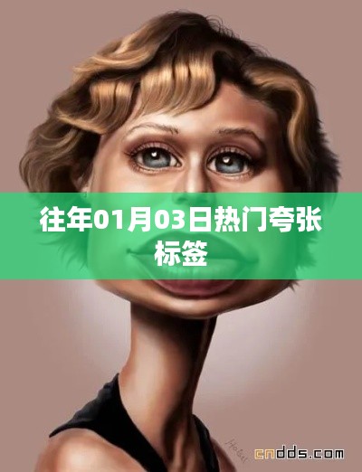 精选夸张标签盘点，历年一月初三热门之选